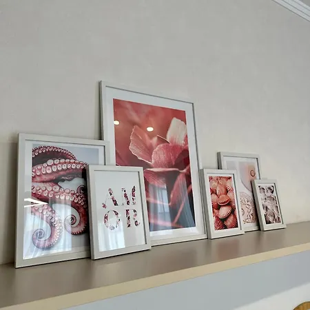 Apartman Nova